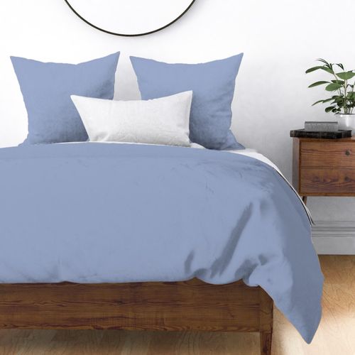 Pantone Brunnera Blue Safari Sunset Solid