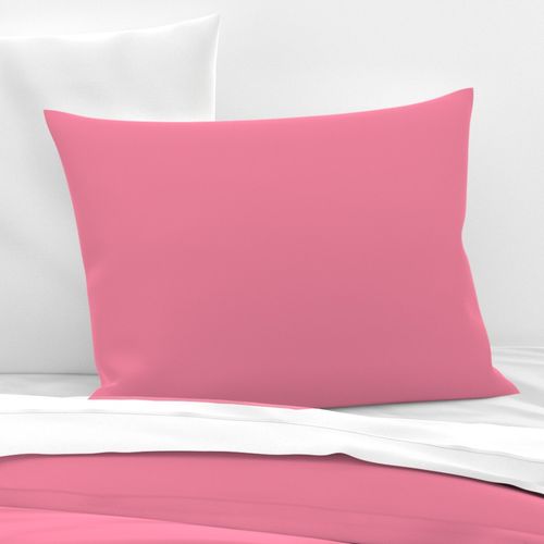 Pink Sherbet Retro Santa Matching Solid