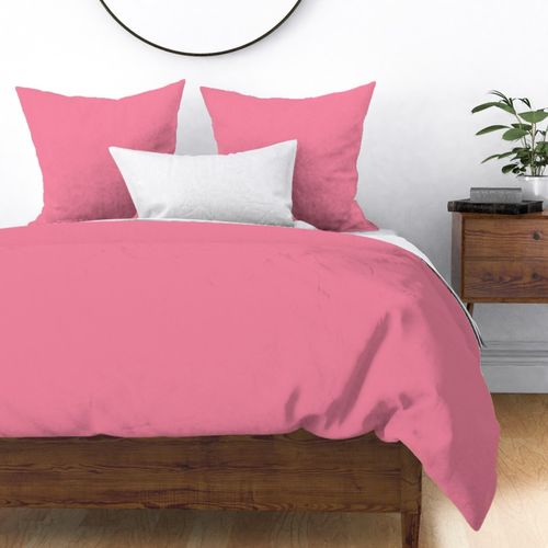 Pink Sherbet Retro Santa Matching Solid