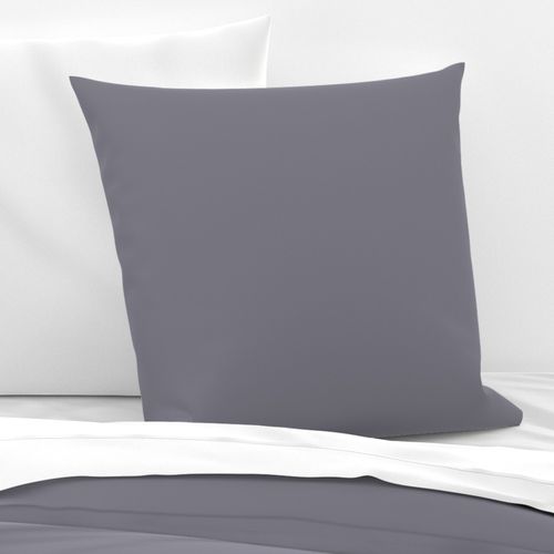 Pantone Quicksilver Silver Smoke Solid