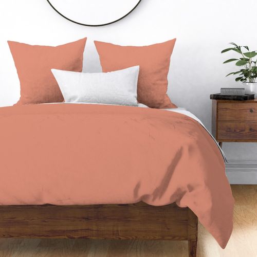 Pantone Canyon Sunset Sage And Sand Collection Solid - Hex E1927A