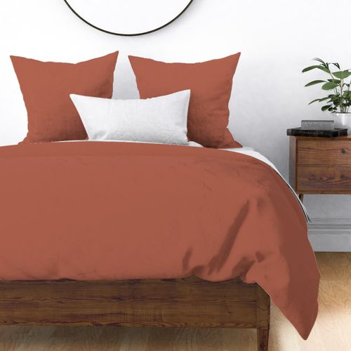 Pantone Copper Coin Warm Autumnal Collection Solid - Hex B1624E